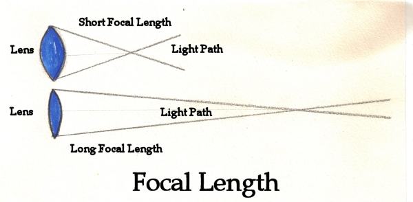 حول كمثرى تكوم Short Focal Length Lens Findlocal Drivewayrepair Com